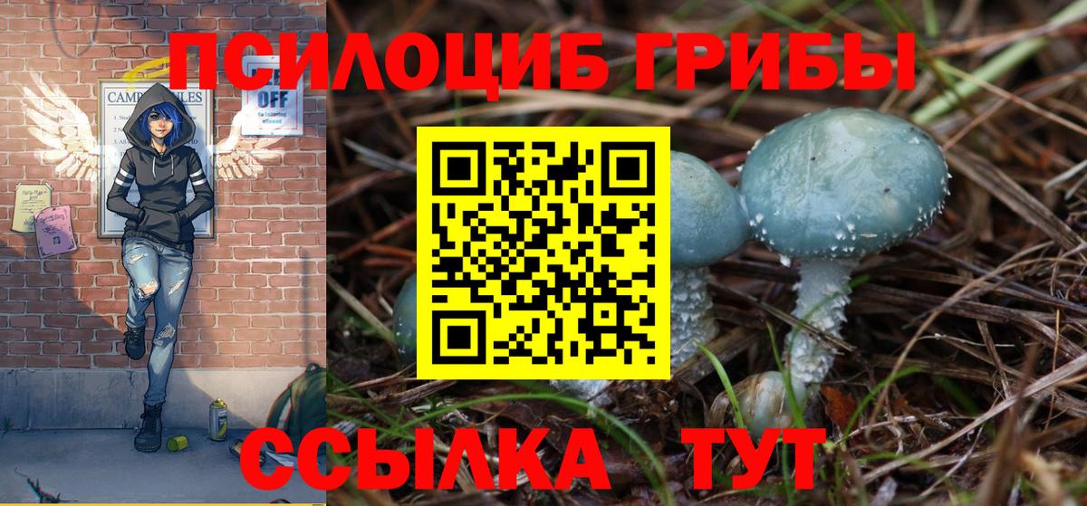 Шали  Галлюциногенные грибы Psilocybine cubensis  Вход с VPN  Галлюциногенные грибы GOLDEN TEACHER 